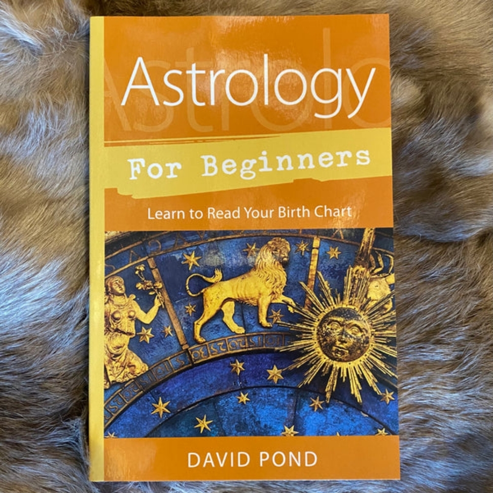 Astrology For Beginners